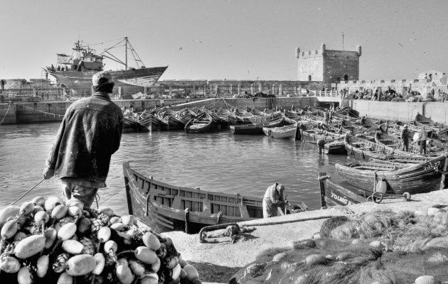 Haven Essaouira
