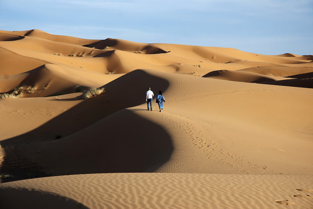 Onderonsje in de Sahara