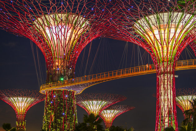Super trees Garden by the Bay