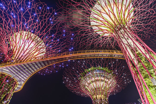 Super Trees Garden by the Bay