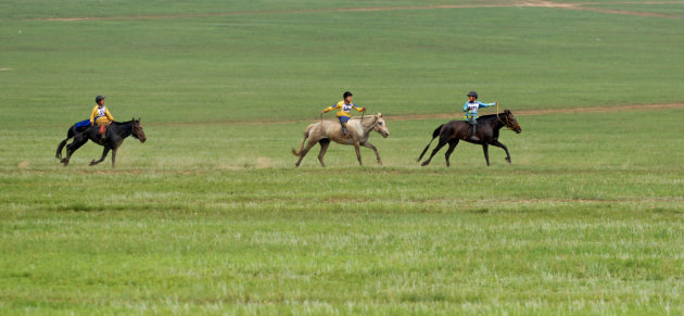 Paardenrace