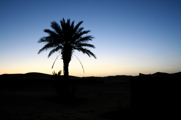 Overnachten in een oase in de Sahara
