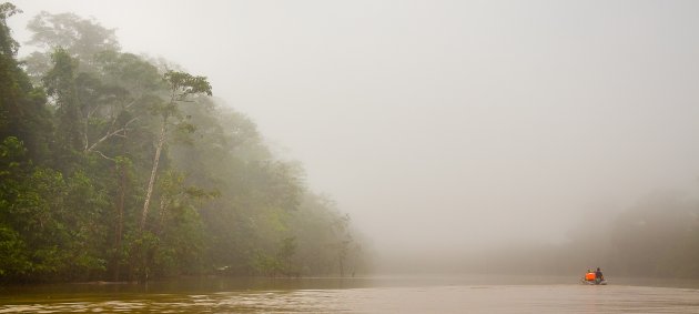 Op zoek naar orang-oetans op de Kinabatangan River