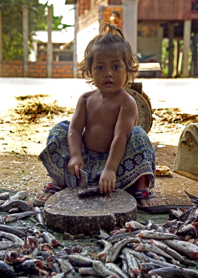 kind in Cambodja maakt vis schoon