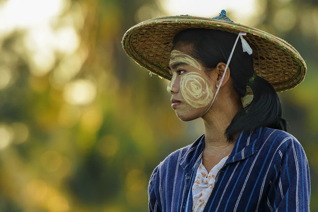Portret van een Birmese schone
