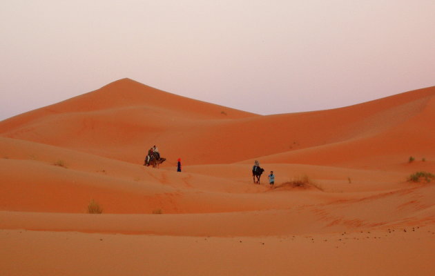 Verlangen naar de Sahara
