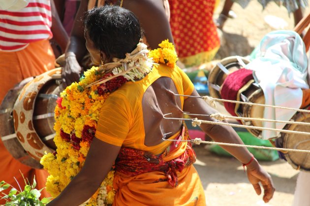 Bizar festival in Munnar