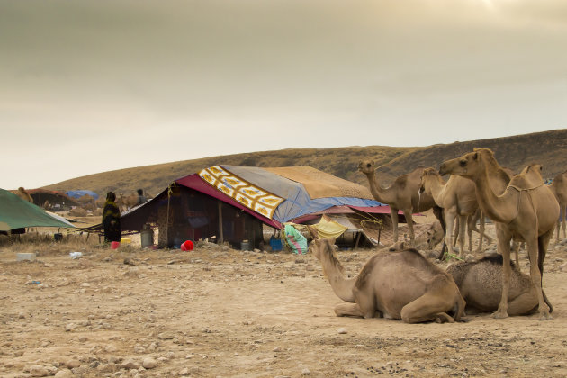 Tentenkamp van de Bedu's 