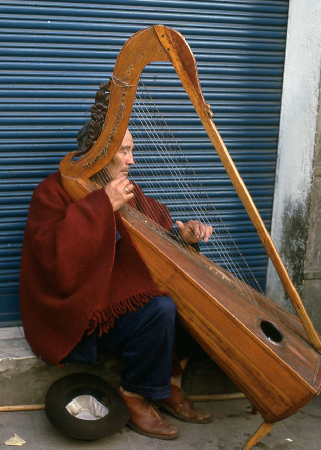 Blinde harpspeler