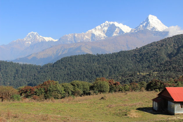 Himalaya toppen