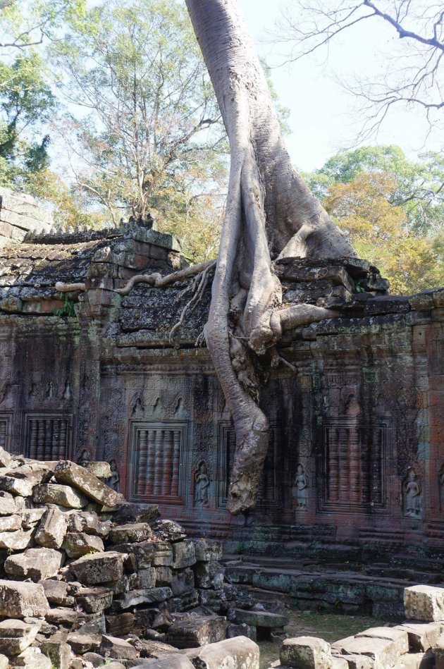 Angkor, Cambodja