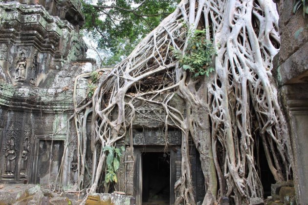 Tha Phrom, Angkor.