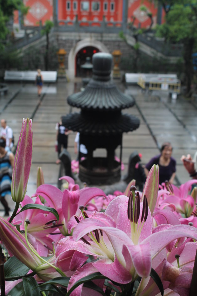 Bloemen Po Lin Klooster in Hong Kong