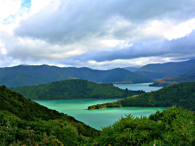 Queens Charlotte Track