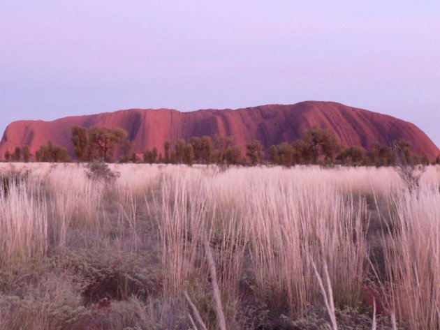zonsopgang bij Uluru (Ayers Rock)