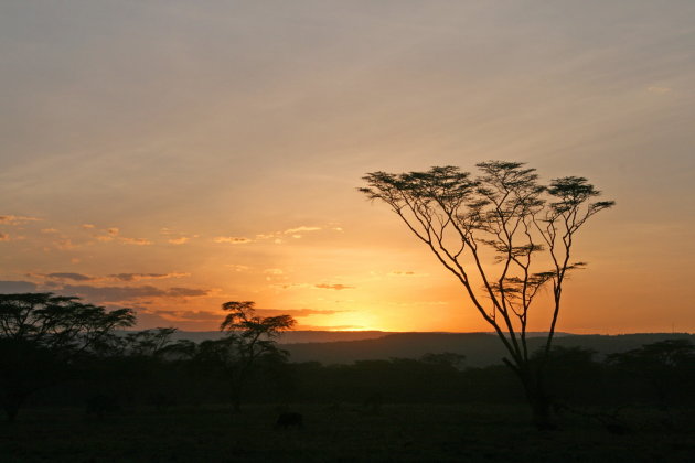 ondergaande zon in Lake Nakuru NP