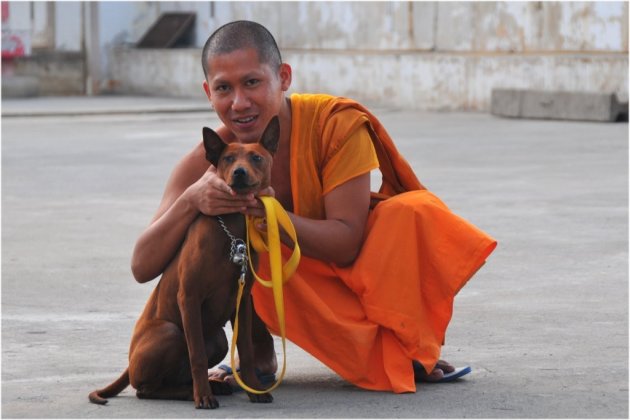 Boeddhistische monnik en zijn metgezel