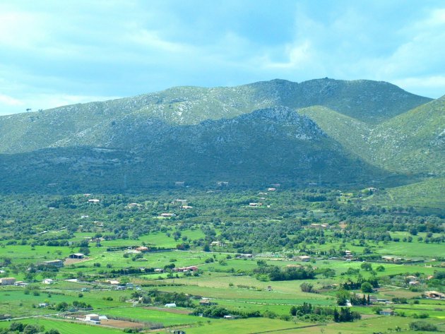 Groen Mallorca