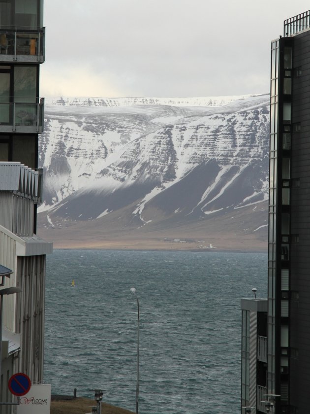 Uitzicht in Reykjavik 