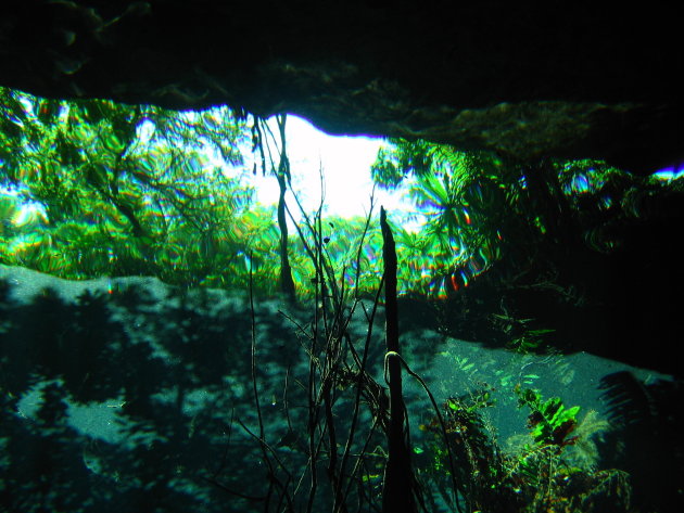 Onderwater in een Cenote 