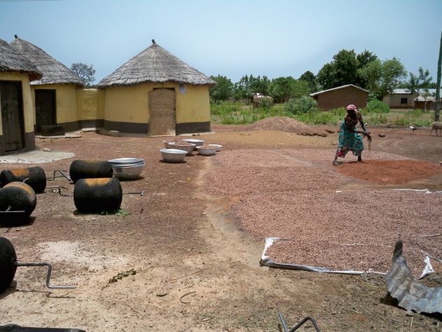 Het roosteren van shea noten, Tamale, Ghana.