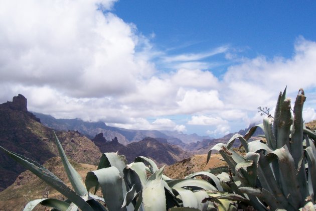 De prachtige binnenlanden van Gran Canaria
