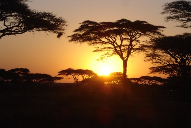 African Sunrise 