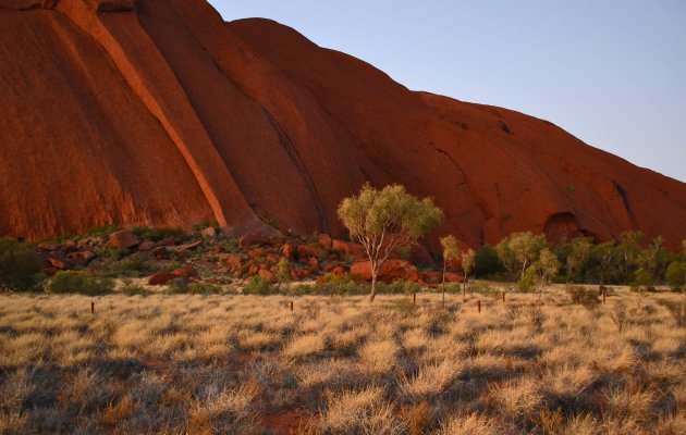Uluru bij zonsopgang