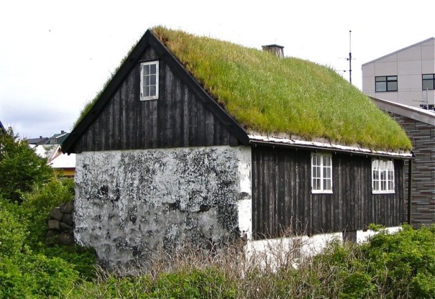 Een dak van gras!