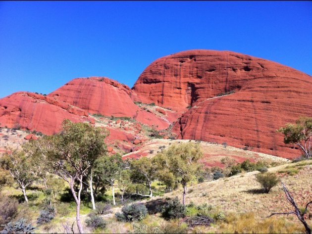 Red Centre 