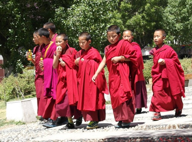 Lhasa, jonge monniken
