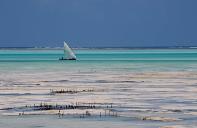 Zanzibarblauw