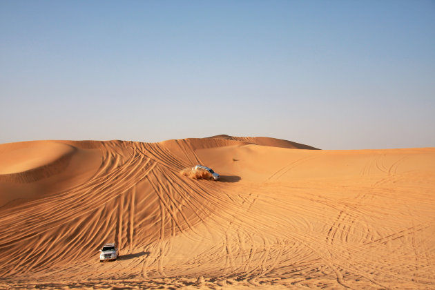 Arabische woestijn