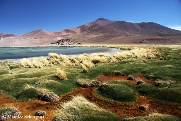 De woestijn op 4500m hoogte met kleurrijke lagunes