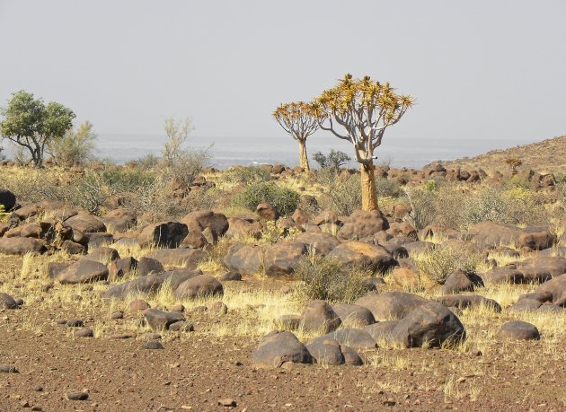 Namibisch landschap