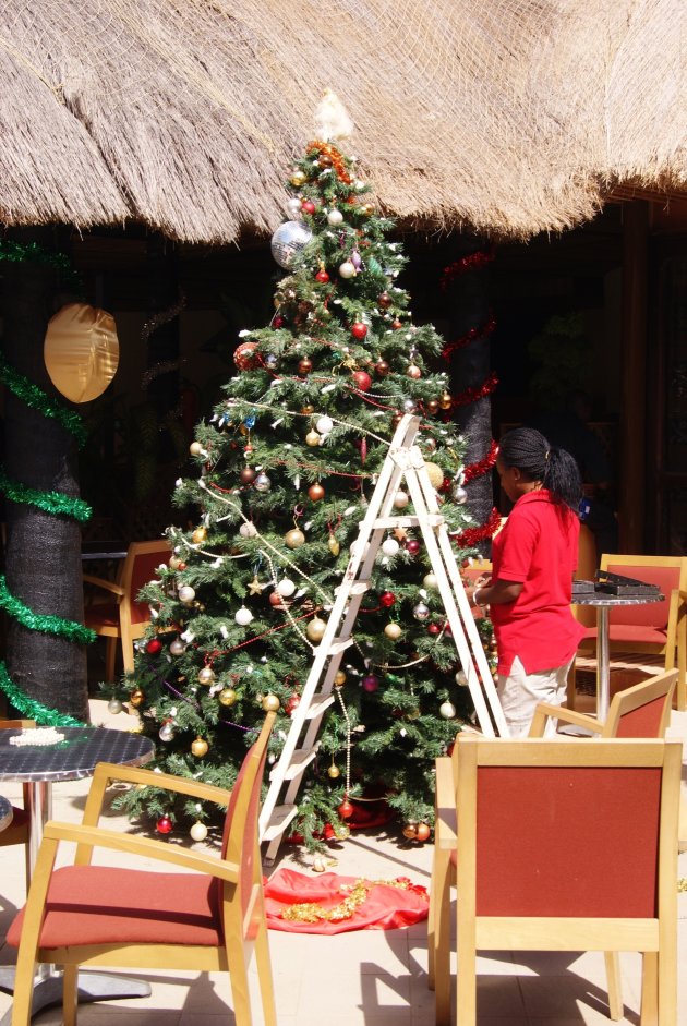 Gambiaanse kerstboom