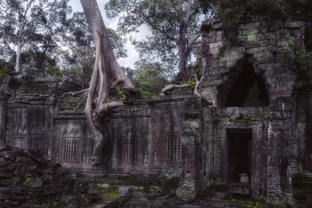 Ta Prohm, The jungle temple