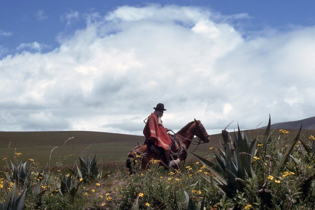 Altiplano, the Andes highlands
