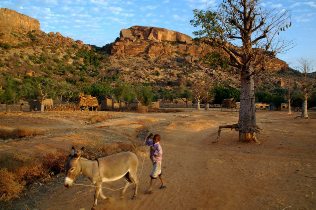 ezel & baobab in Dogon