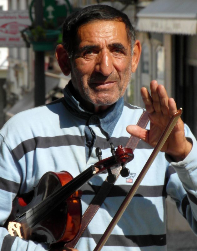 violist Aveiro