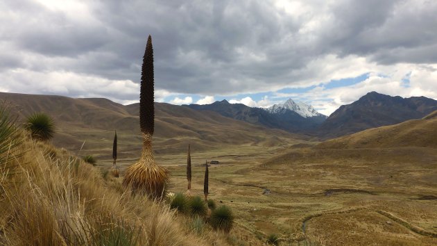 nationale park Huascaran