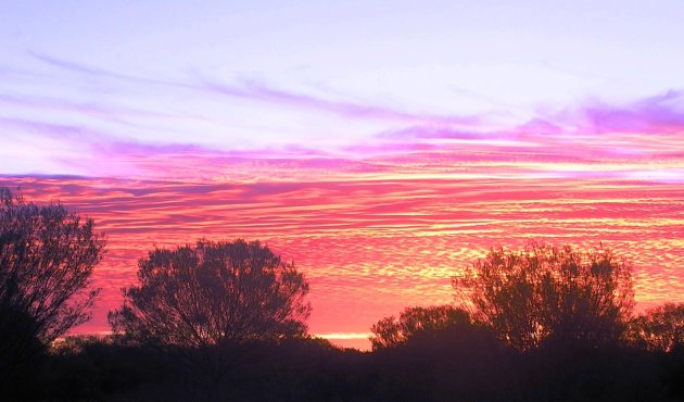 (OPENEN) zonsopkomst outback
