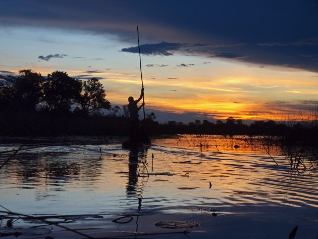 Een pooler op zijn mokoro door de Okavango delta.
