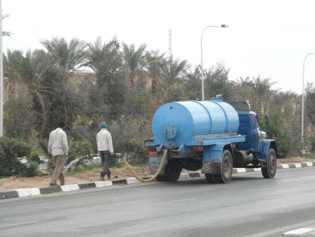 2008: Planten water geven langs de Peaceroad, Sharm El Sheik.