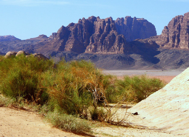 Woestijn gebied