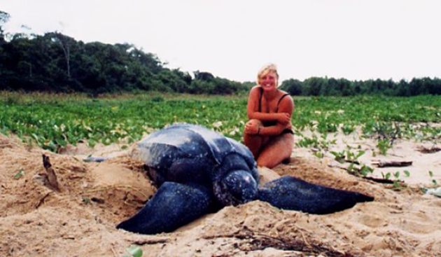 2001 - 2002: De grootste zeeschildpad.