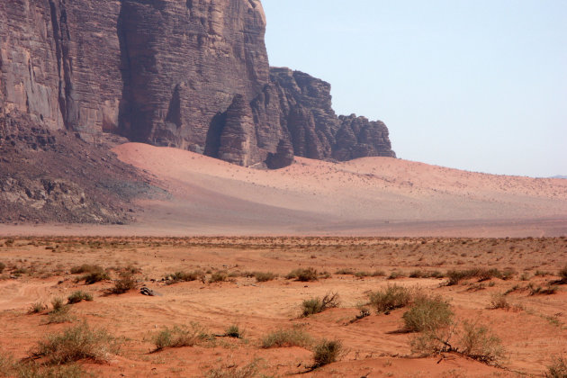 Woestijn gebied