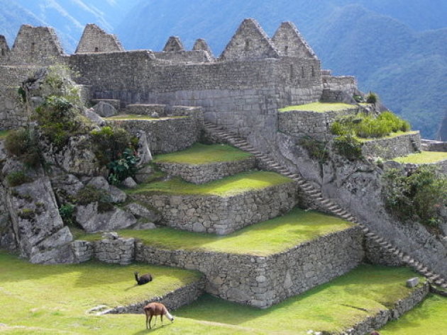 rust in Machu Pichu