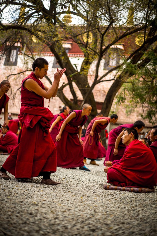 Boeddhistisch klooster, monniken debatteren