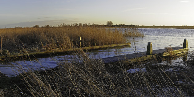 vis vlonder / steiger in het Lauwersmeer